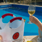 Ice Bag BB Wine Bolsa para Gelo e Vinho para 4 garrafas